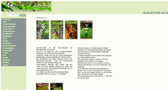 Desktop Screenshot of garnele-online.de